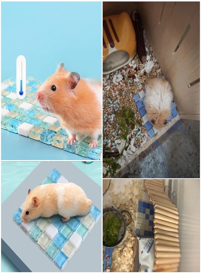 SquEqu 2 Pack Hamster Chiller Glass Stone Hamsters Cooling Pad Dwarf Hamster Bedding Cool Plate Tiles Ice Bed for Rabbits Guinea Pig Gerbil Chinchilla Bunny Ferret and Other Small Animals Small Pets - Image 4